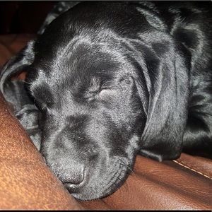 Meet your Posher, Sara